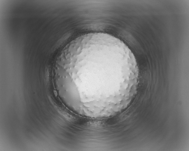 X0000072510120200607290142