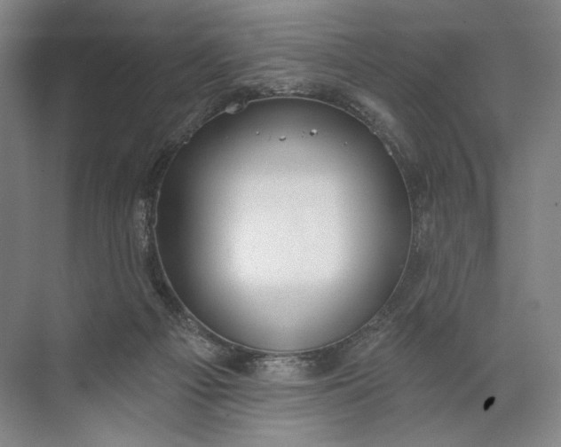 X0000072510121200607290142