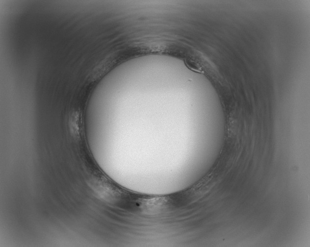 X0000072510122200607290142