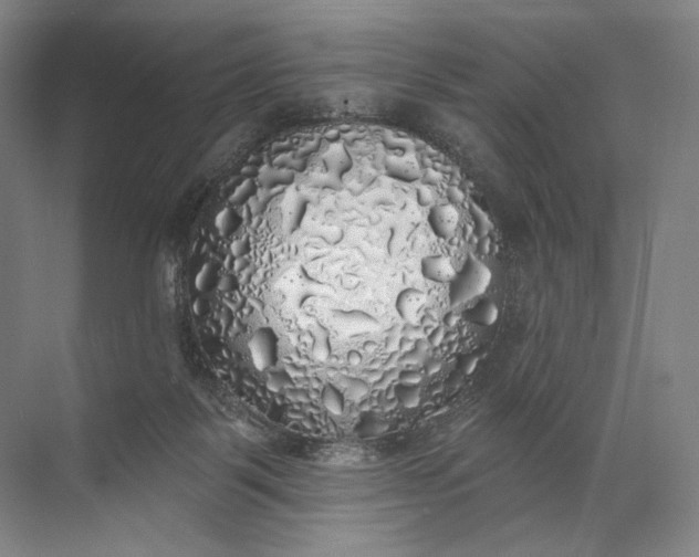 X0000072510123200607290142