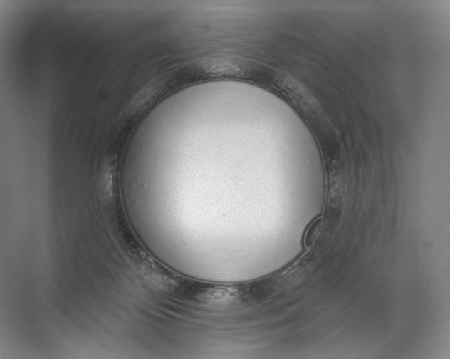 X0000072510124200607290142