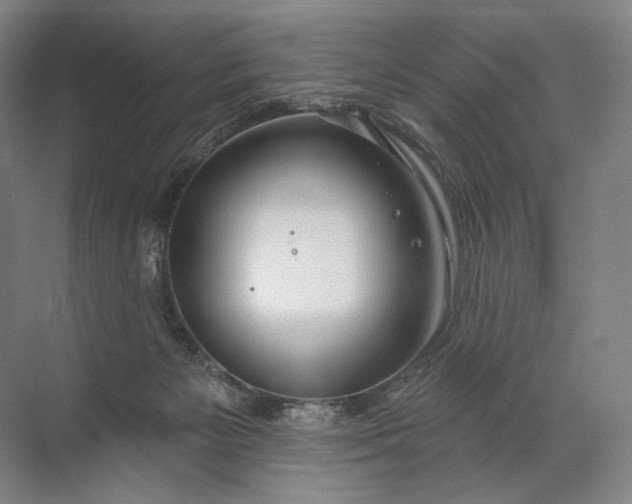 X0000072510125200607290142