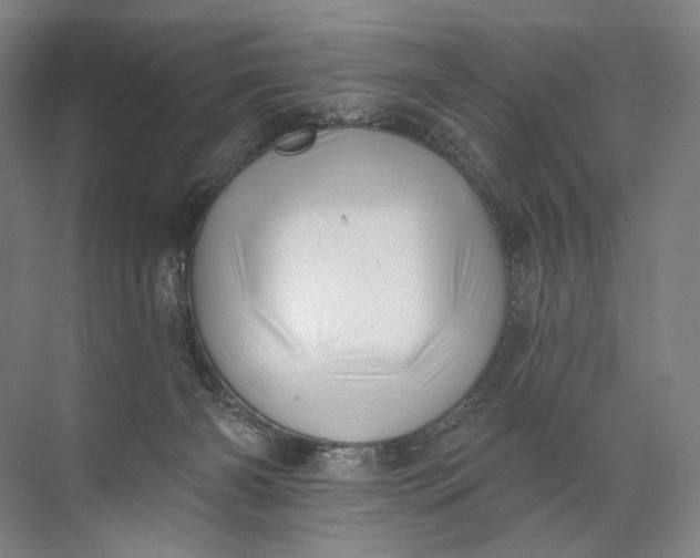 X0000072510126200607290142