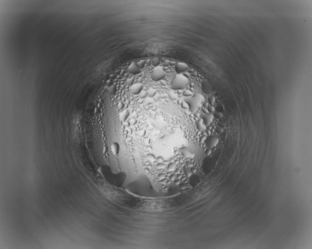 X0000072510127200607290142