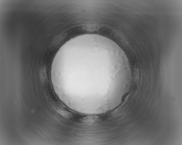 X0000072510128200607290142