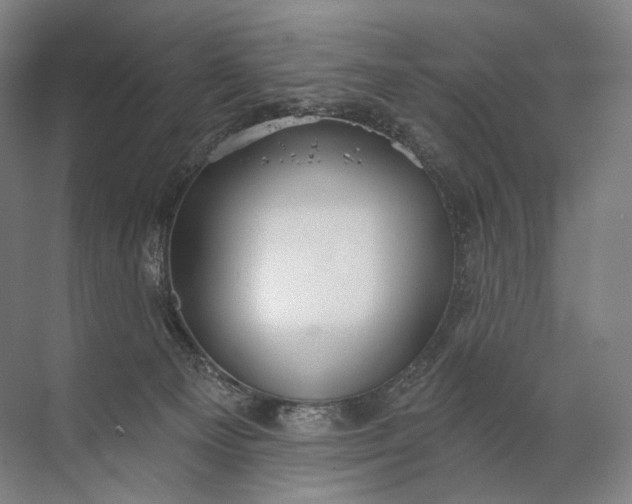 X0000072510129200607290142