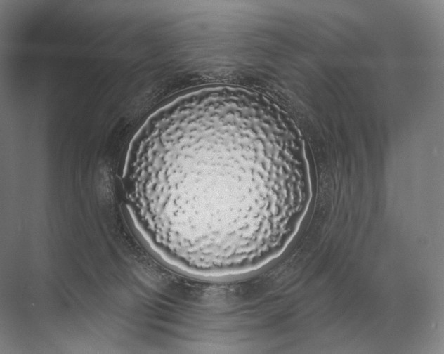 X0000072510130200607290142