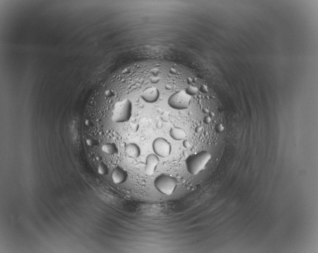 X0000072510131200607290142