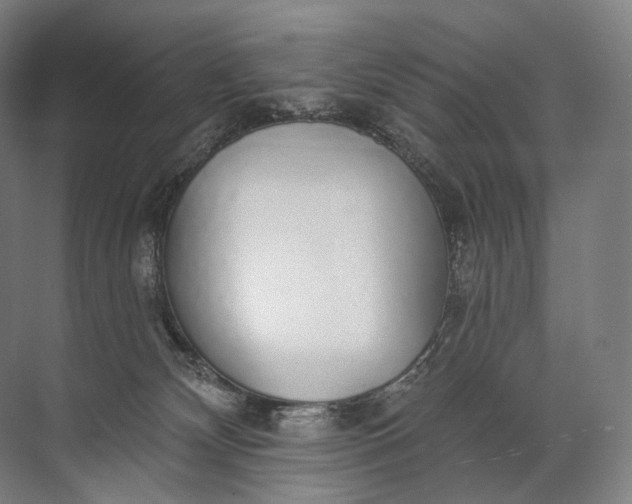 X0000072510132200607290142