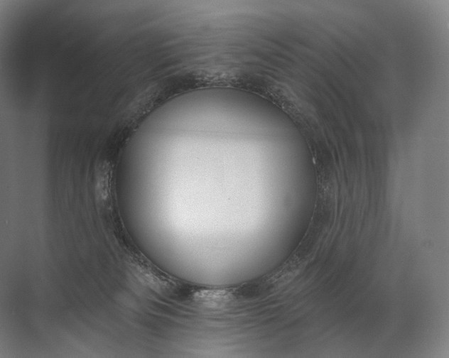 X0000072510133200607290142