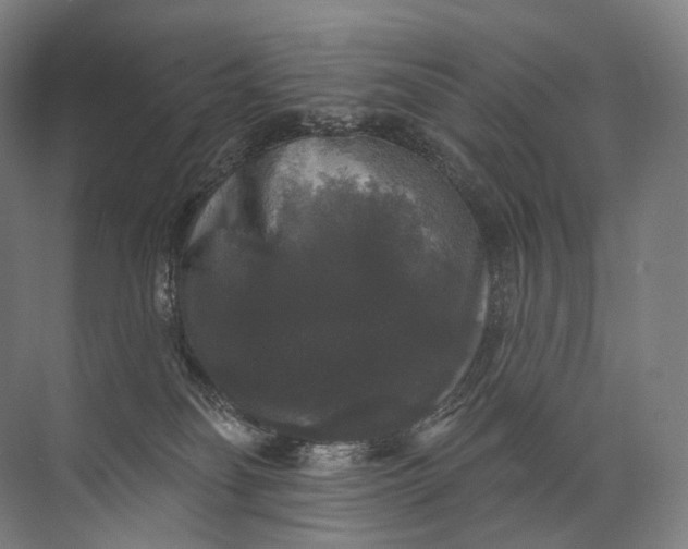 X0000072510134200607290142