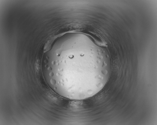 X0000072510135200607290142