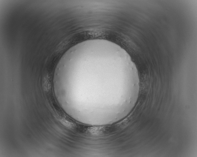 X0000072510136200607290142