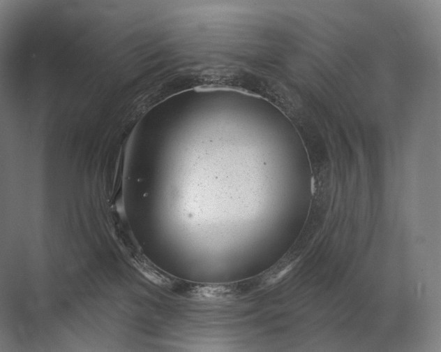 X0000072510137200607290142