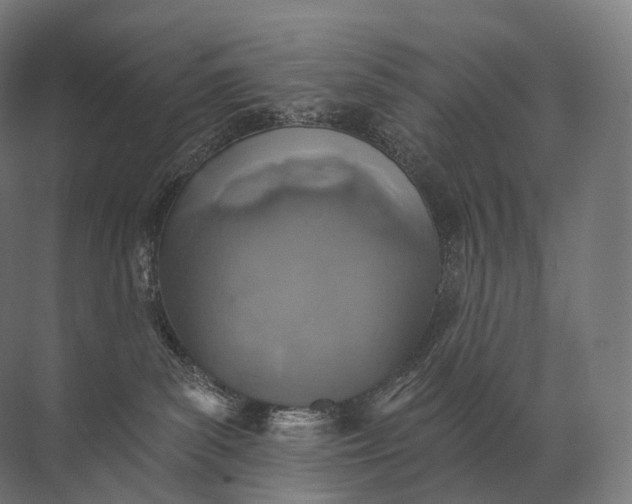 X0000072510139200607290142