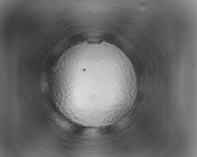 X0000072510140200607290142