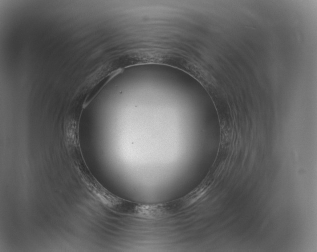 X0000072510141200607290142