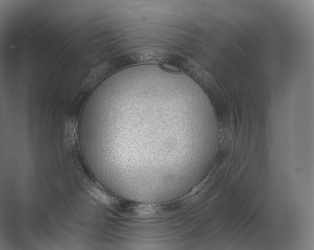 X0000072510142200607290142