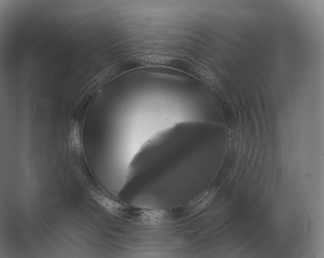 X0000072510143200607290142