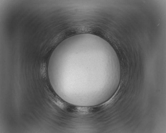 X0000072510144200607290142