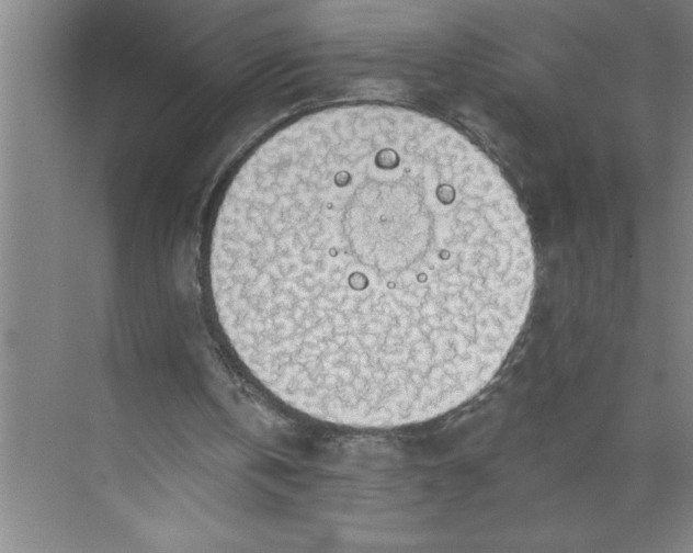 X0000072510146200607290141