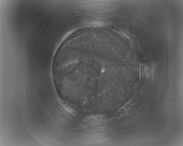 X0000072510147200607290141