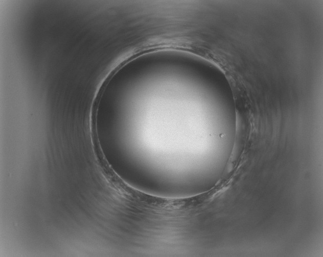 X0000072510148200607290141