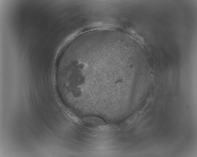 X0000072510149200607290141