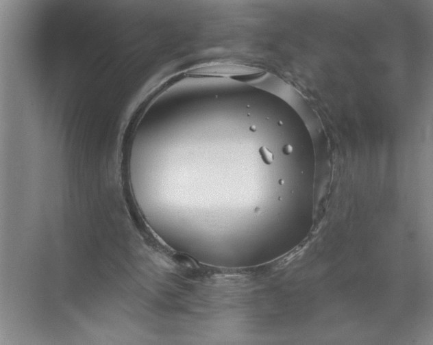 X0000072510150200607290141