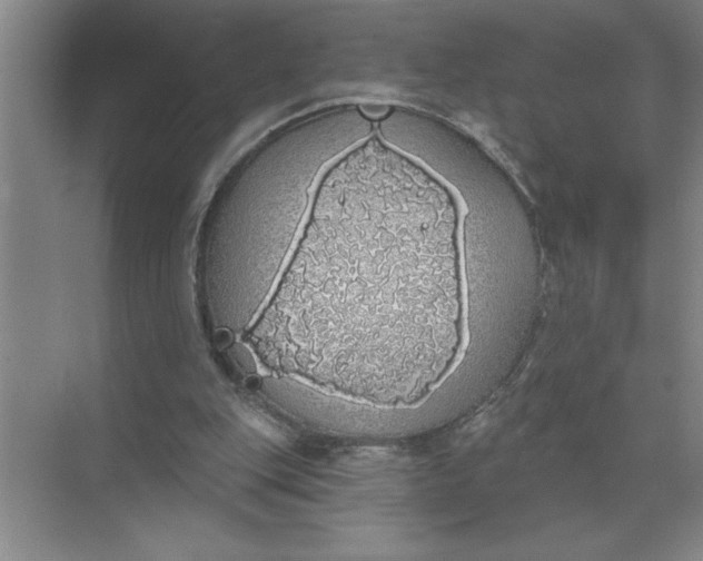 X0000072510151200607290141