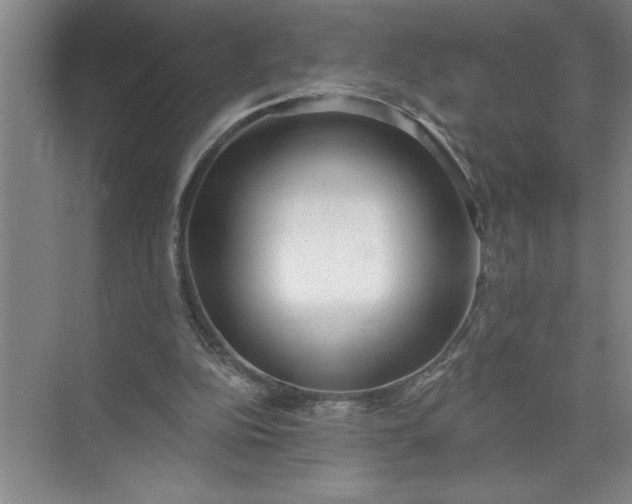 X0000072510152200607290141