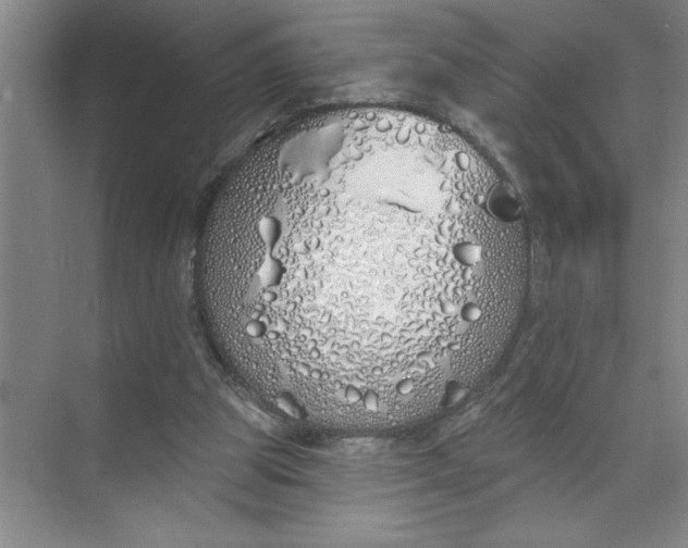 X0000072510153200607290141