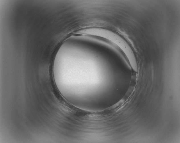 X0000072510154200607290141