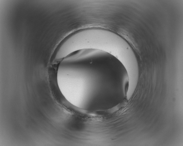 X0000072510156200607290141