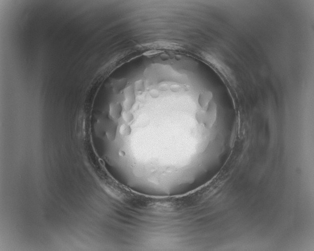 X0000072510157200607290141