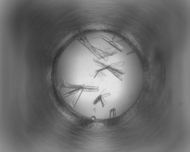 X0000072510159200607290141