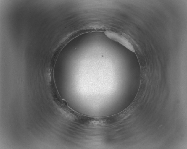 X0000072510160200607290141