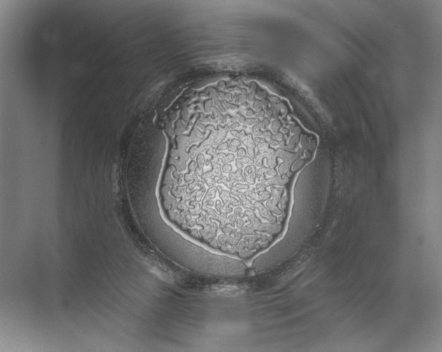 X0000072510161200607290141