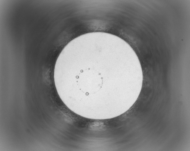 X0000072510162200607290141