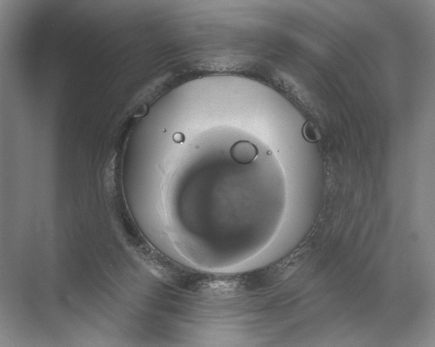 X0000072510163200607290141