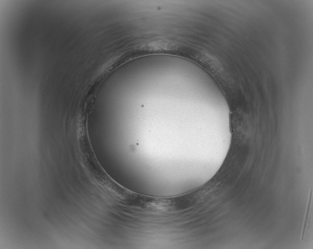 X0000072510164200607290141