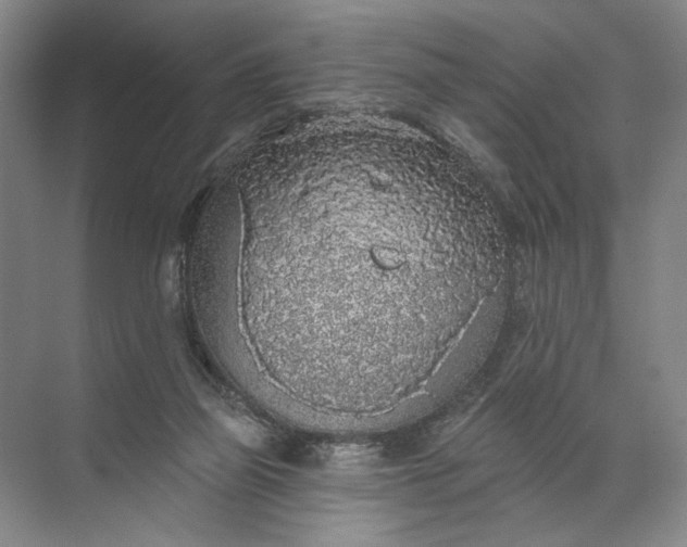 X0000072510165200607290141