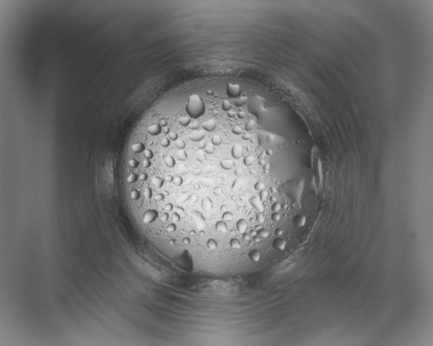 X0000072510166200607290141