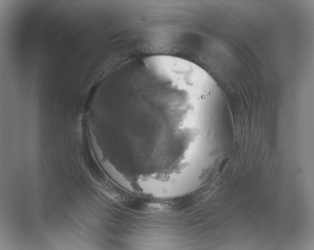 X0000072510167200607290141