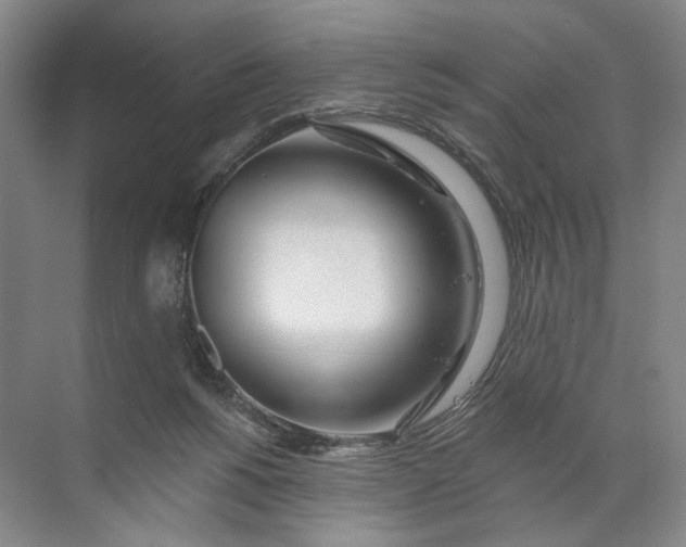 X0000072510168200607290141