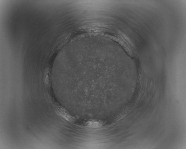 X0000072510169200607290141