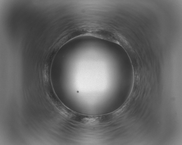 X0000072510170200607290142