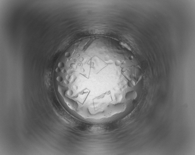 X0000072510171200607290142