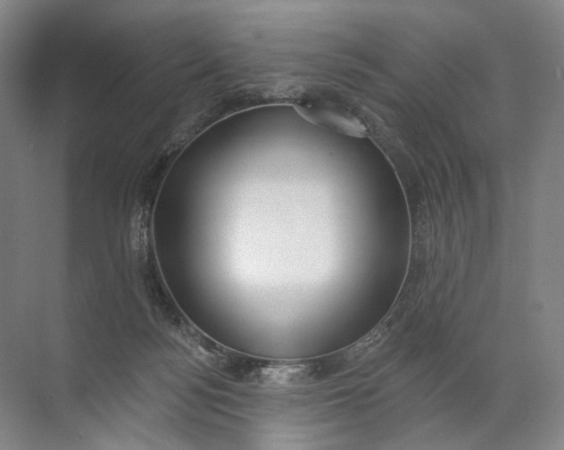 X0000072510172200607290142