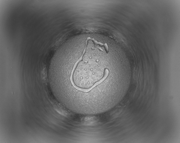 X0000072510173200607290142